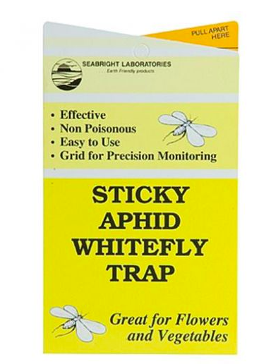 Sticky Fly Traps Hydro Pests
