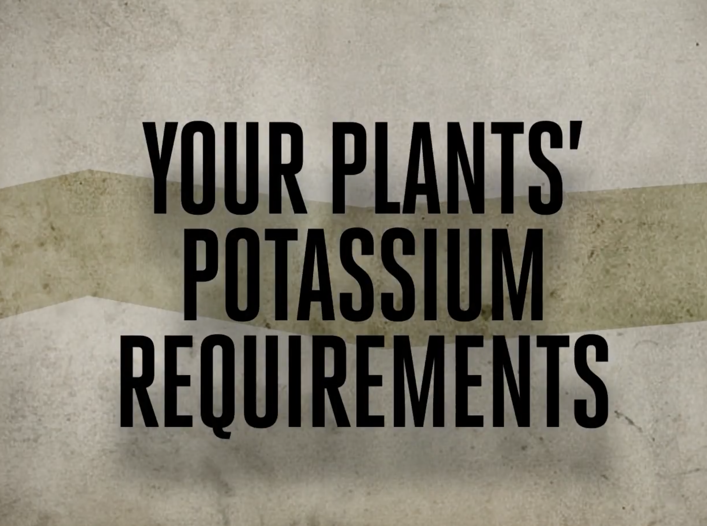 CANNA - Your Plants' Potassium Requirements