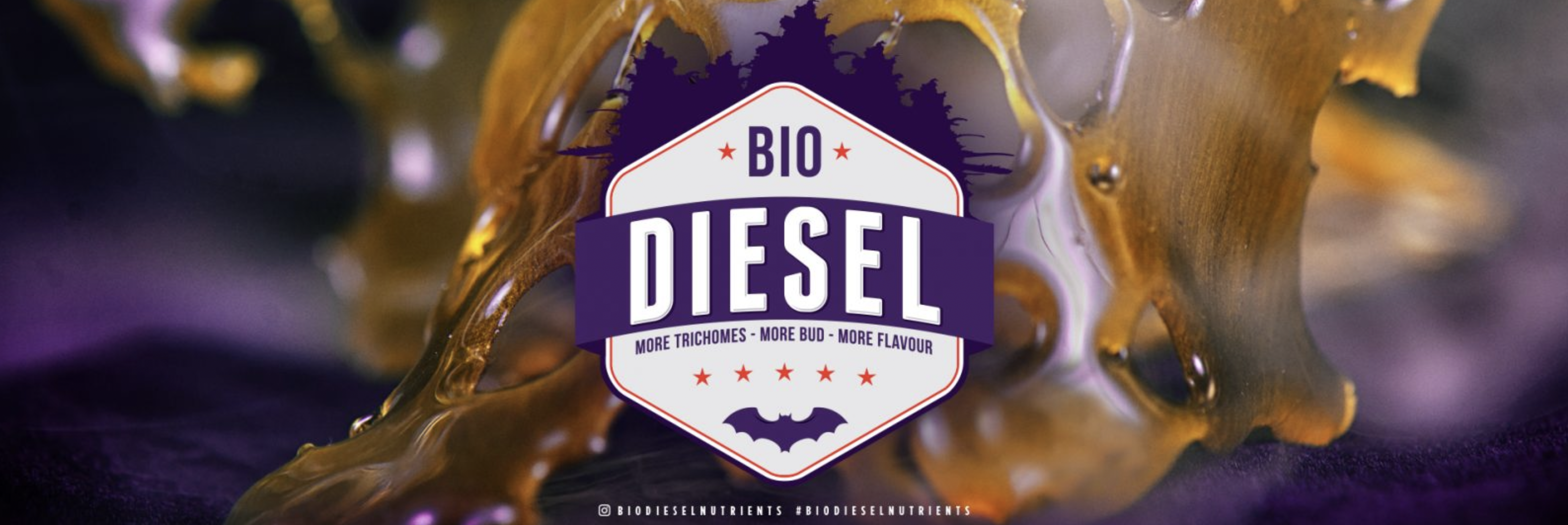 Bio Diesel Feed Chart