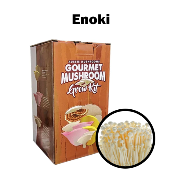 Aussie Mushroom Kit | Enoki (Enokitake)