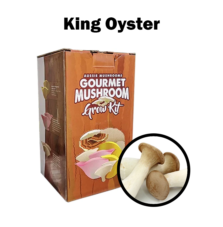 Aussie Mushroom Kit | King Oyster (Pleurotus Eryngii)