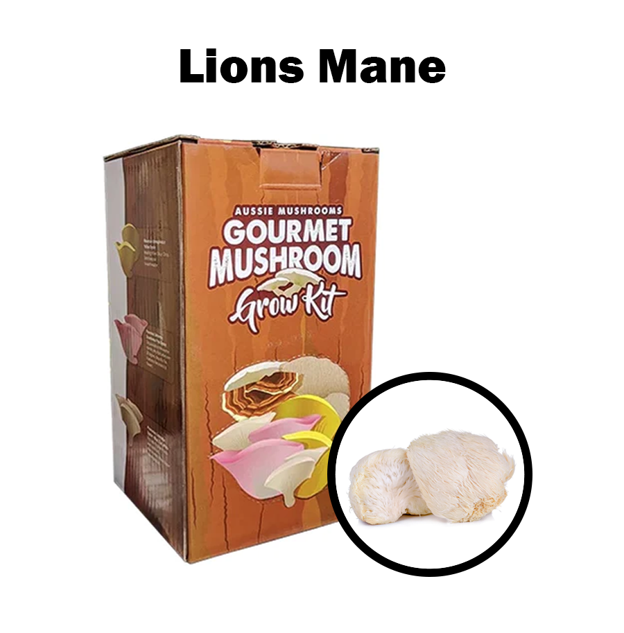 Aussie Mushroom Kit | Lions Mane