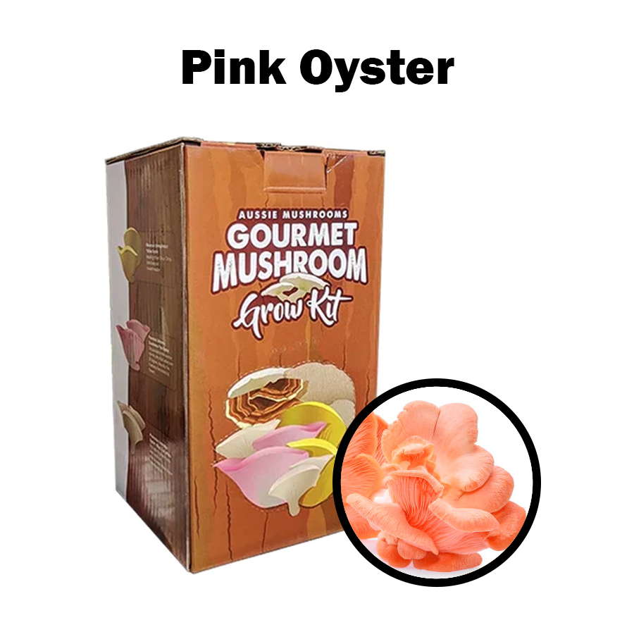 Aussie Mushroom Kit | Pink Oyster (Pleurotus Djamor)