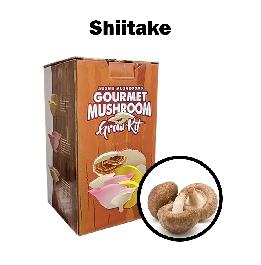 Aussie Mushroom Kit | Shiitake (Lentinula Edodes)