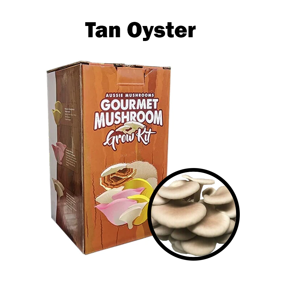 Aussie Mushroom Kit | Tan Oyster (Pleurotus Ostreatus)