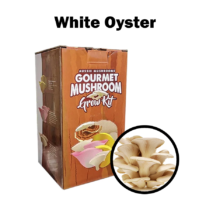 Aussie Mushroom Kit | White Oyster (Pleurotus Ostreatus)