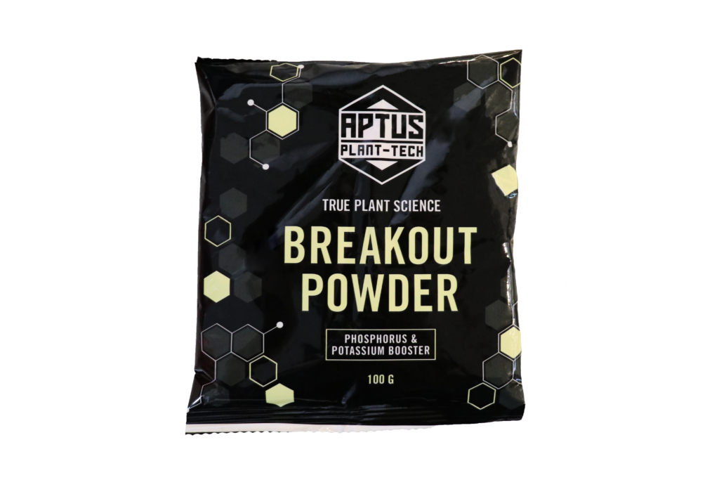 Aptus Breakout Powder