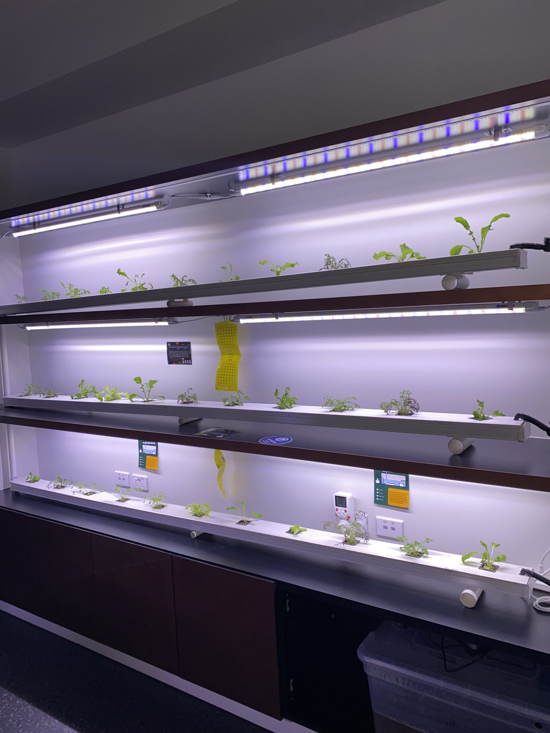 Plants in Space: Resources