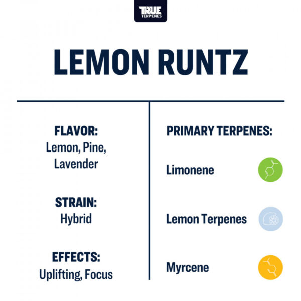 True Terpenes | Lemon Runtz