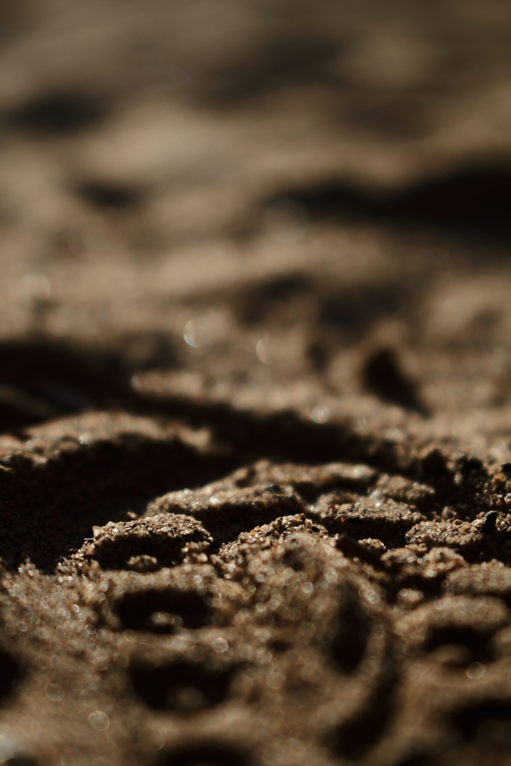 A picture of soil
